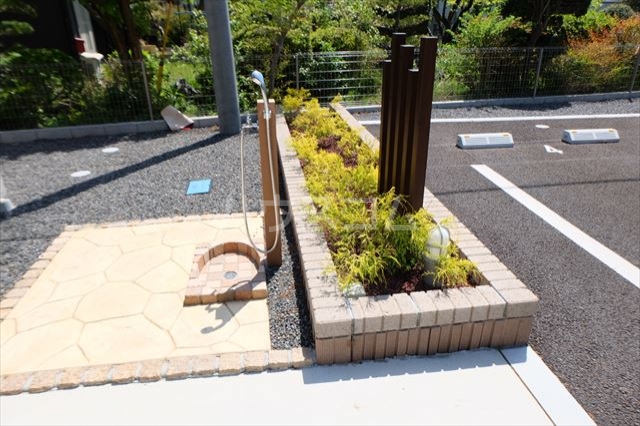 20/30 その他画像