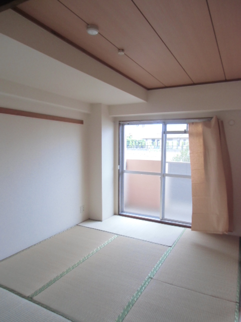 17/29 その他画像