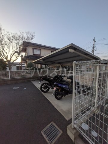 20/30 その他画像