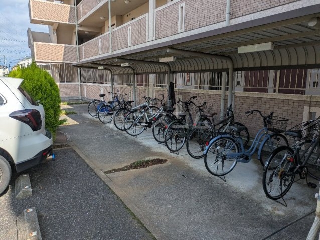 20/30 その他画像