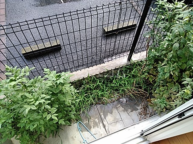 15/28 バルコニー