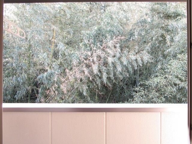 12/24 その他画像