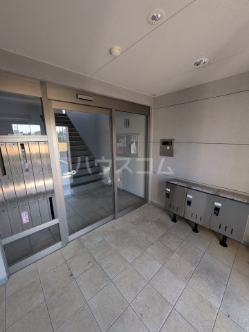 20/30 その他画像