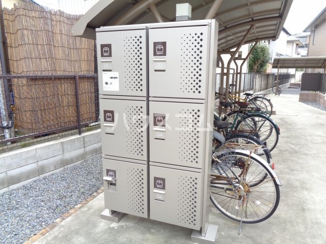 20/30 その他画像
