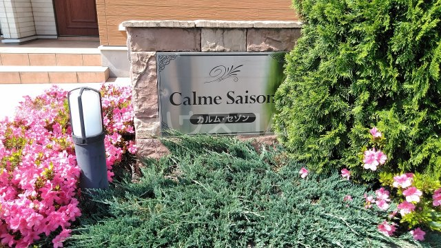 15/23 その他画像