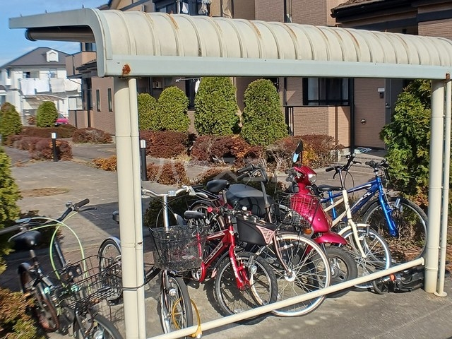 13/20 その他画像