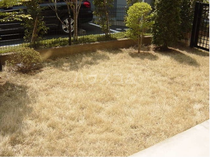 12/16 その他画像