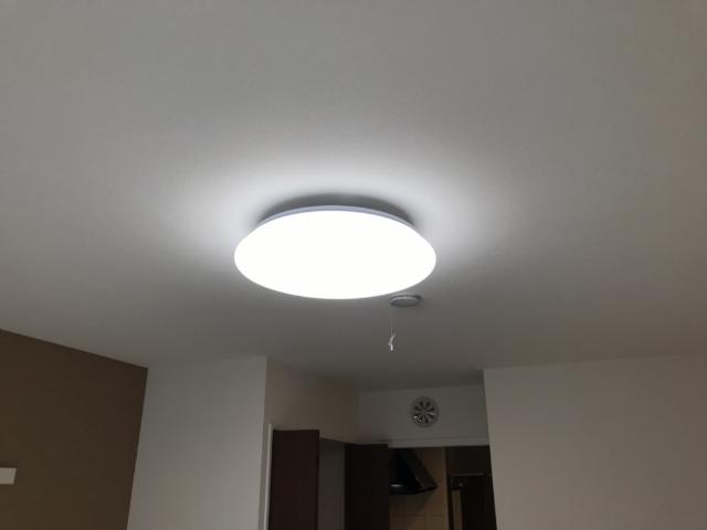 21/26 その他画像