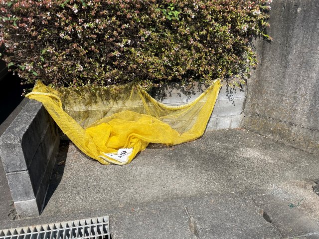 15/18 その他画像