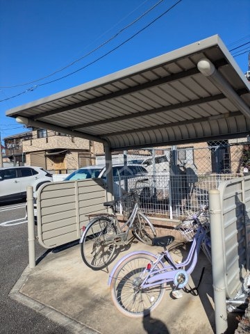 20/30 その他画像