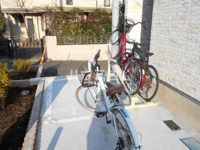 20/30 その他画像