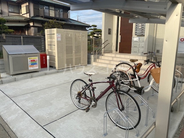 20/30 その他画像