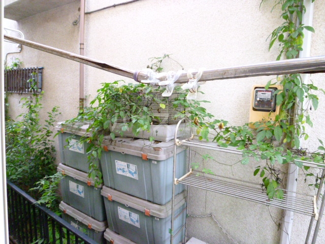その他共有