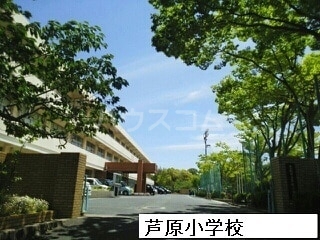 20/30 周辺