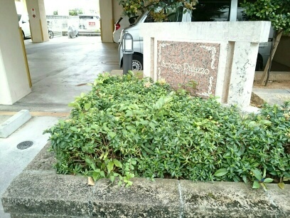 15/21 エントランス