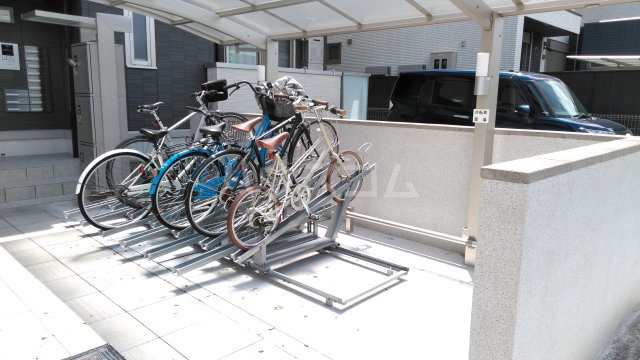 8/17 その他画像