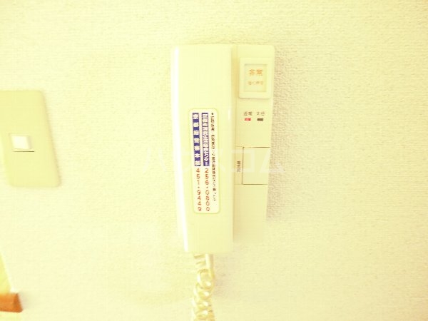 20/30 その他画像