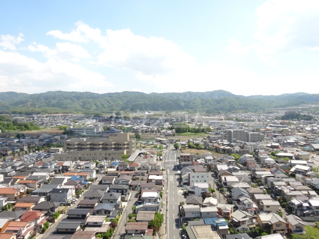 25/30 その他画像