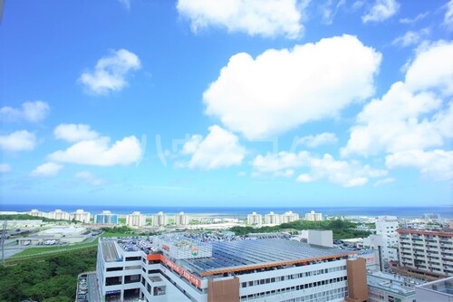 12/29 その他画像