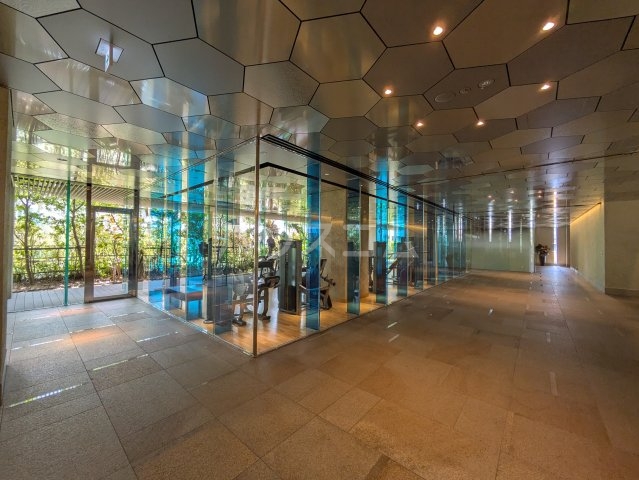 17/25 その他画像