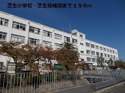 20/30 周辺