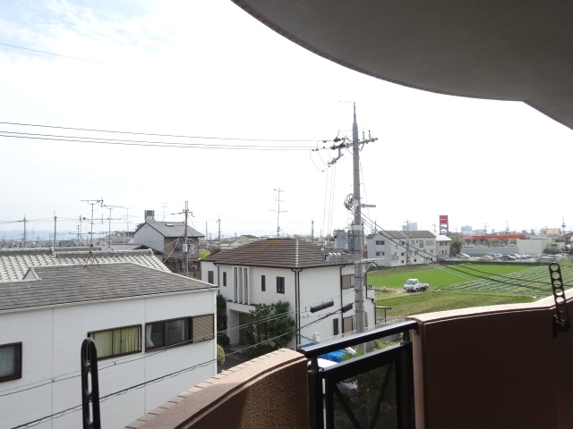 20/30 その他画像