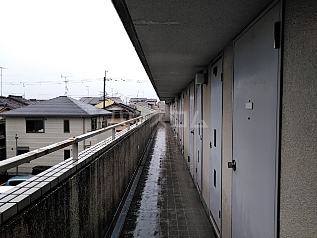 その他共有