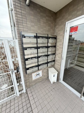 20/30 その他画像