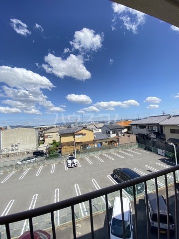 17/29 その他画像