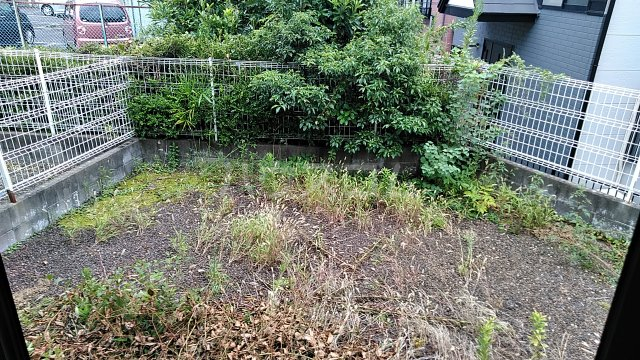 19/29 その他画像