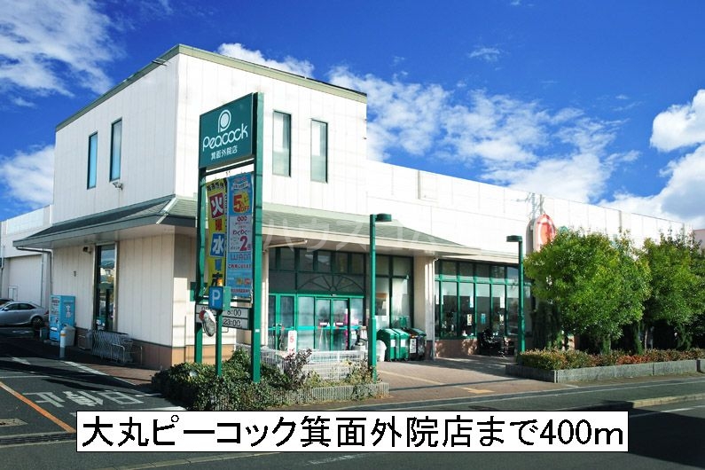 20/30 周辺
