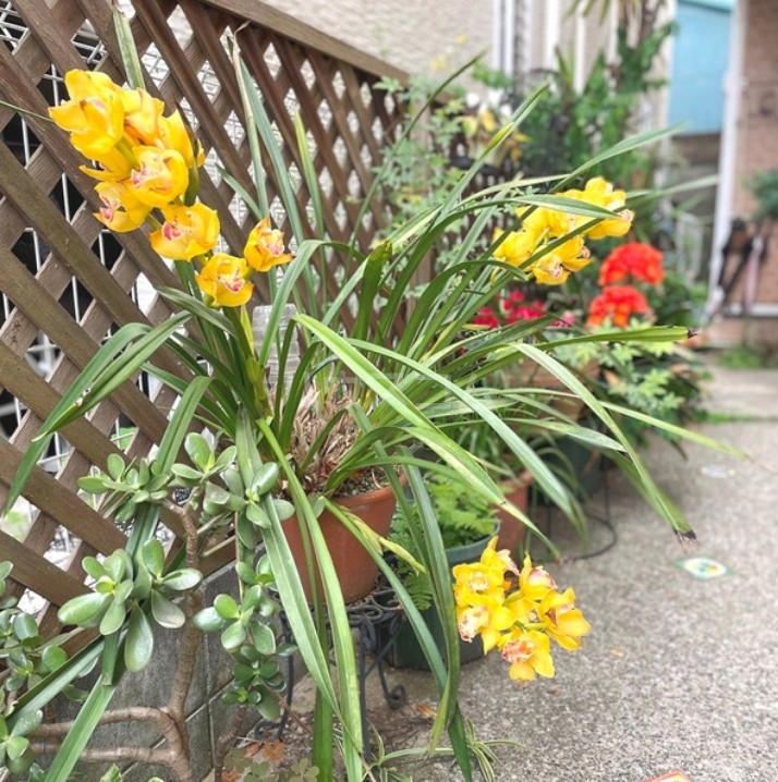 12/14 その他画像