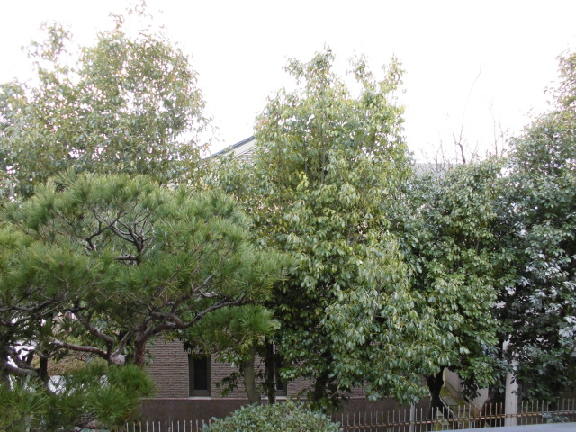 22/30 エントランス