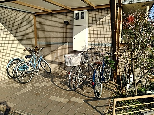 20/30 その他画像