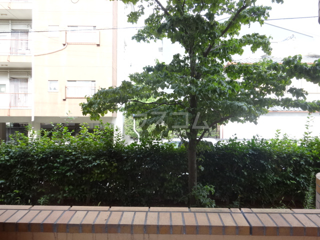 17/28 その他画像