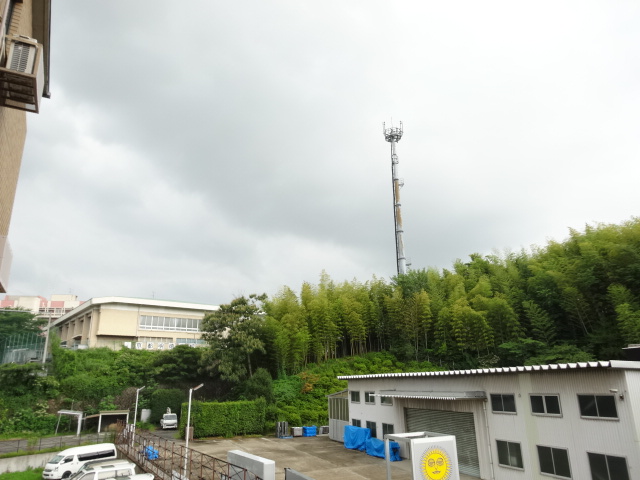 25/30 その他画像