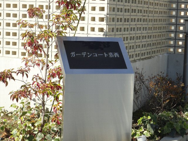 16/25 その他画像