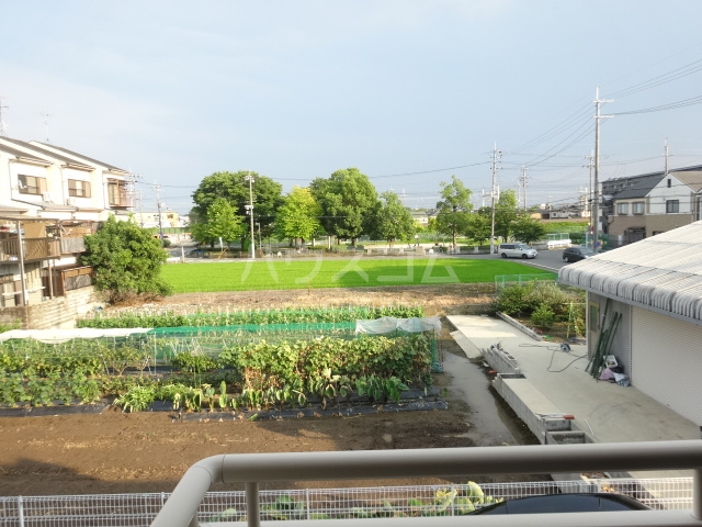 20/30 その他画像