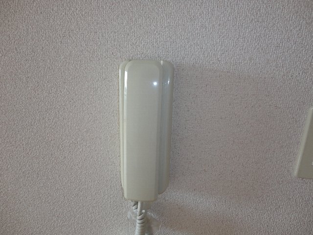21/29 その他画像