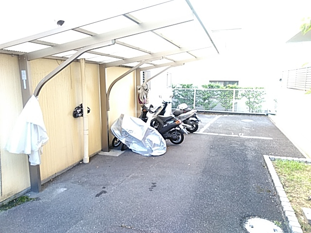 20/30 その他画像