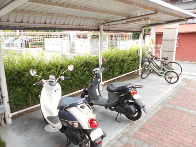 20/30 その他画像