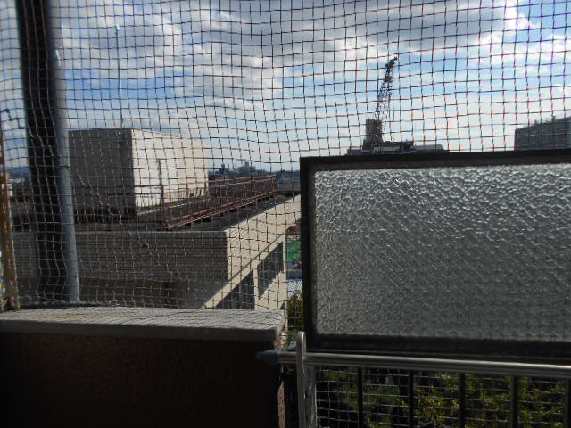 12/29 その他画像