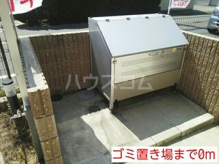 13/19 その他画像