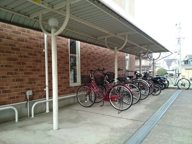 11/20 その他画像