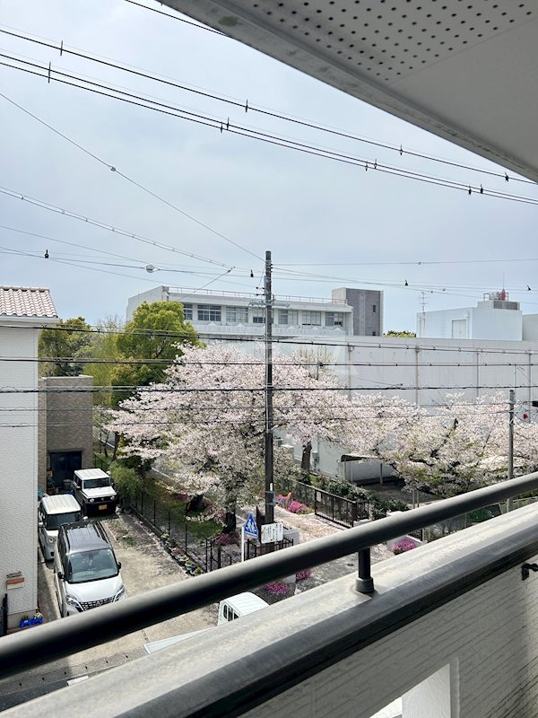 15/22 その他画像