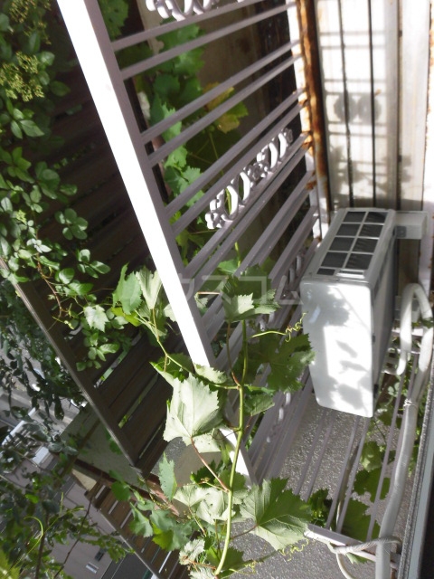 18/27 エントランス