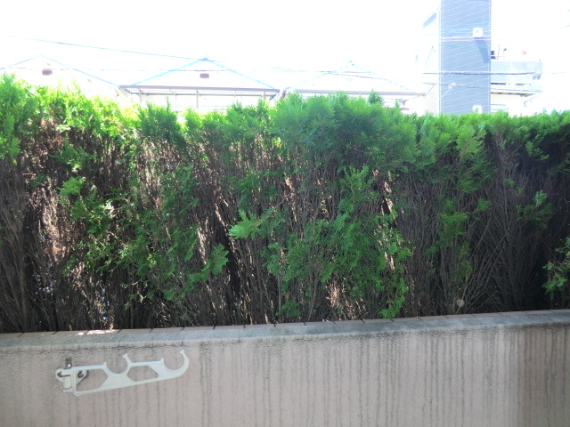 18/24 その他画像