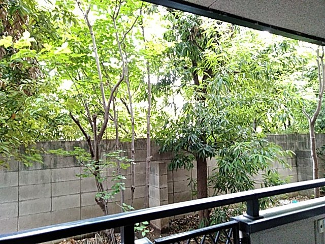 20/28 その他画像