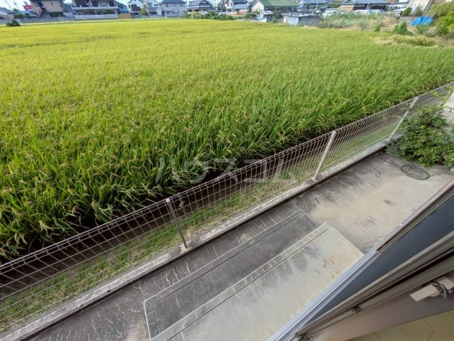 23/29 その他画像