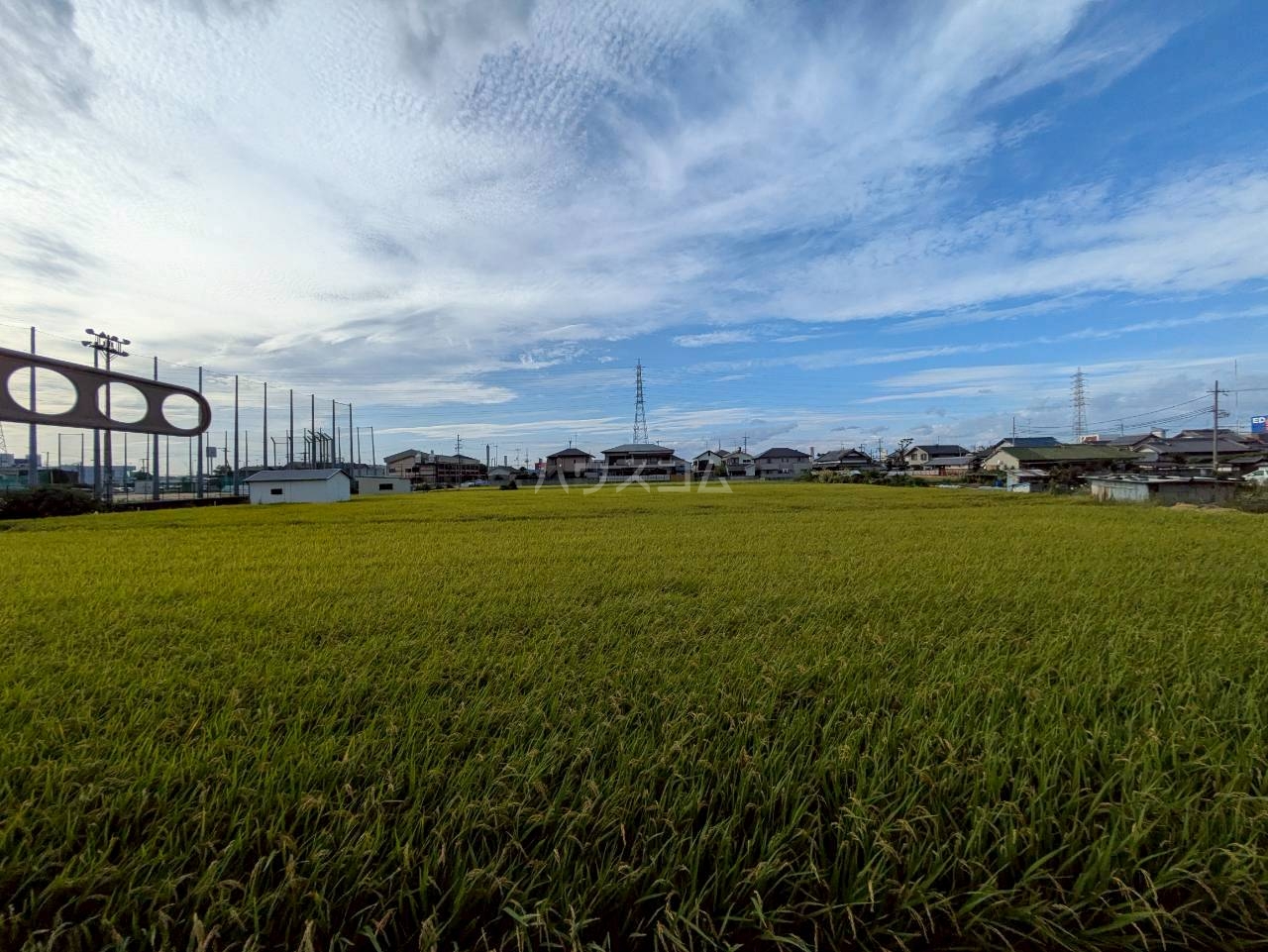 26/29 その他画像